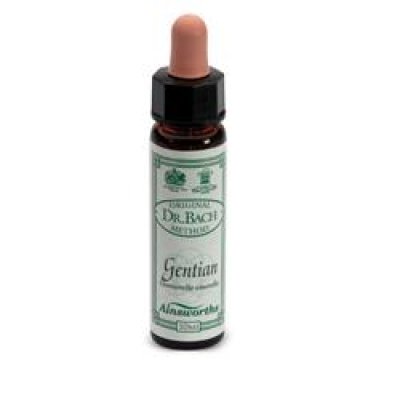 AINSWORTHS GENTIAN 10ML AINSWORTHS GENTIAN 10ML