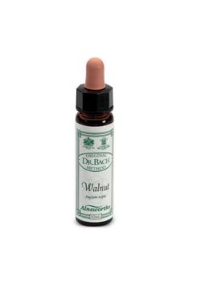 AINSWORTHS WALNUT 10ML AINSWORTHS WALNUT 10ML