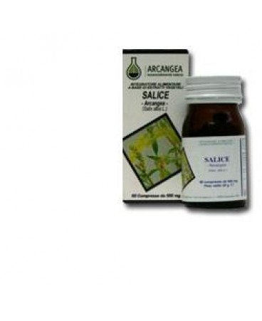 SALICE 60CPS 500MG ARCANGEA