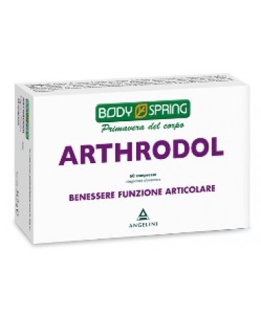 BS ARTHRODOL 60CPR BSP