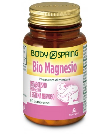 BS BIO MAGNESIO 60CPR 1100MG