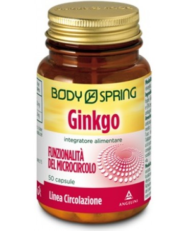 BS GINKGO 120MG 50CPS BSP