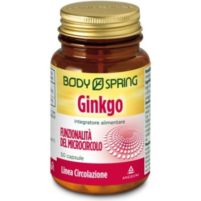 BS GINKGO 120MG 50CPS BSP