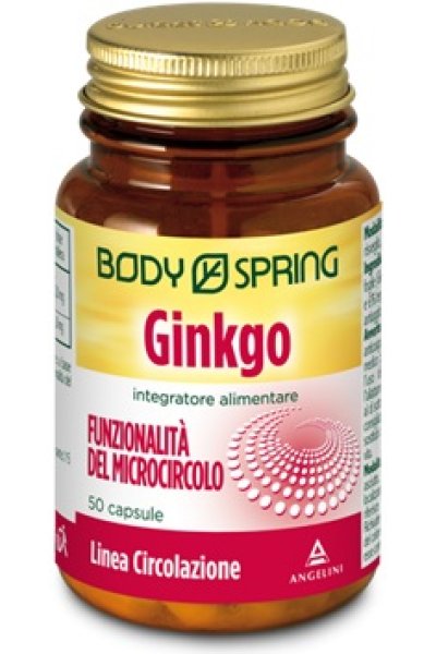 BS GINKGO 120MG 50CPS BSP BS GINKGO 120MG 50CPS BSP