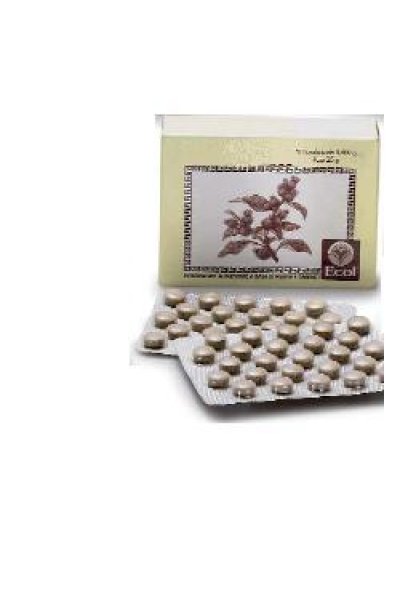 CIMICIFUGA 50TAV 500MG CIMICIFUGA 50TAV 500MG