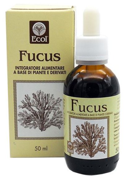 FUCUS ESTR ANALCO 50ML 796 ECO FUCUS ESTR ANALCO 50ML 796 ECO