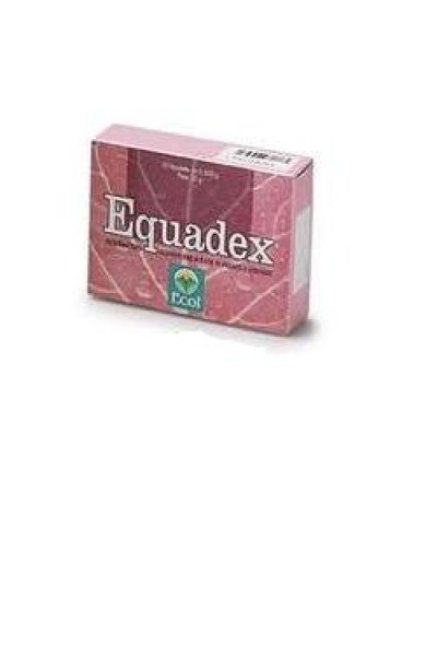 EQUADEX 50 TAV EQUADEX 50 TAV