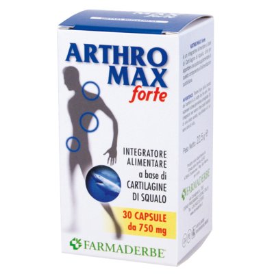 ARTHROMAX FORTE 90CPS ARTHROMAX FORTE 90CPS