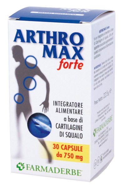 ARTHROMAX FORTE 90CPS ARTHROMAX FORTE 90CPS