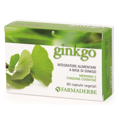 GINKGO BILOBA 60CPS GINKGO BILOBA 60CPS