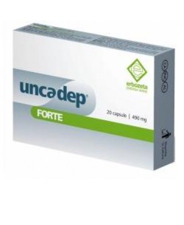 UNCADEP FTE 20CPS