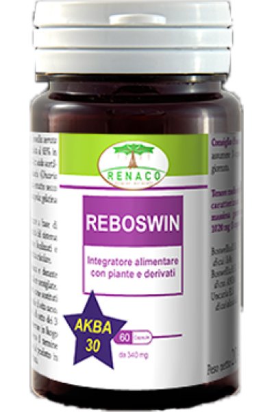 REBOSWIN 60CPS RE.NA.CO. REBOSWIN 60CPS RE.NA.CO.