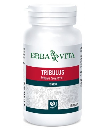 TRIBULUS TER 60CPS 500MG EBV