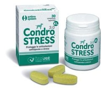 CONDROSTRESS XL 30CPR CONDROSTRESS XL 30CPR