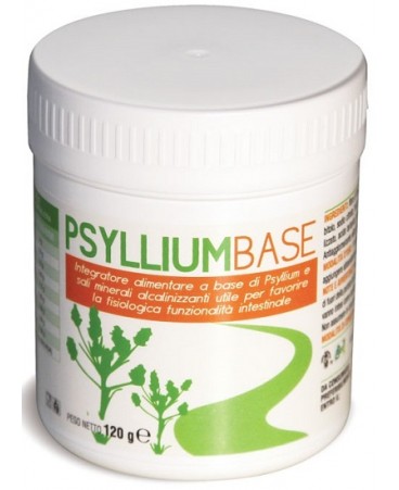 PSYLLIUM BASE POLVERE 120G