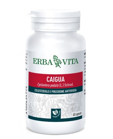 CAIGUA 60CPS 400MG EBV