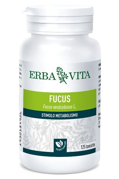 FUCUS 125TAV EBV FUCUS 125TAV EBV