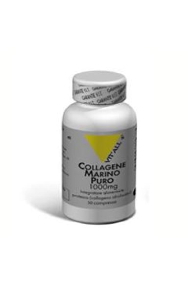 VITAL PLUS COLLAGENE MARINO STV VITAL PLUS COLLAGENE MARINO STV