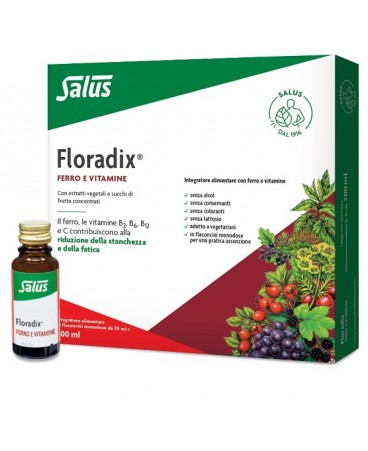 FLORADIX-FERRO 10 FLACONCINI20ML