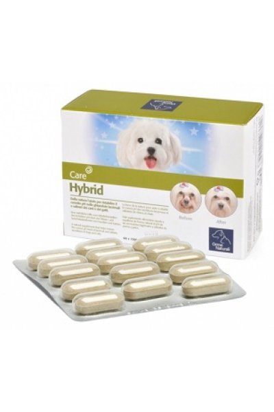 HYBRID ORME NAT 60CPR HYBRID ORME NAT 60CPR