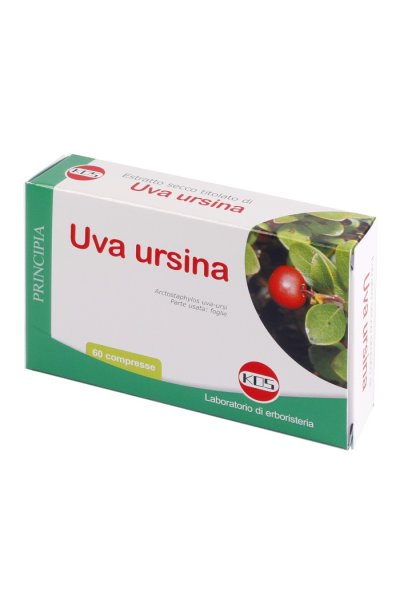 UVA URSINA E.S. 60 CPR 300MG K UVA URSINA E.S. 60 CPR 300MG K