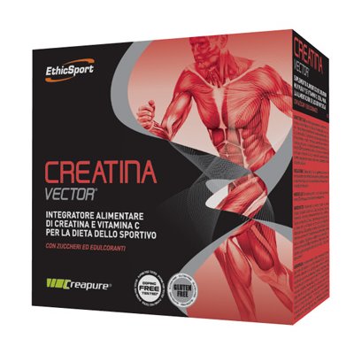 CREATINA VECTOR 20BUST 8G CREATINA VECTOR 20BUST 8G