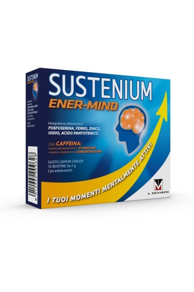SUSTENIUM MEMO ENERGY BREAK 12 SUSTENIUM MEMO ENERGY BREAK 12