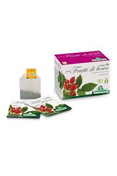 INFUSO BIO FR/BOSC 20FILT SPECCH INFUSO BIO FR/BOSC 20FILT SPECCH