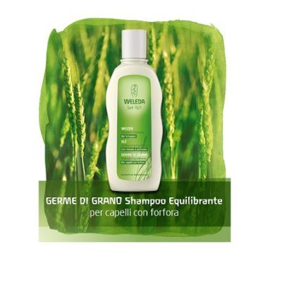 GERME DI GRANO SHAMPOO 190ML WE