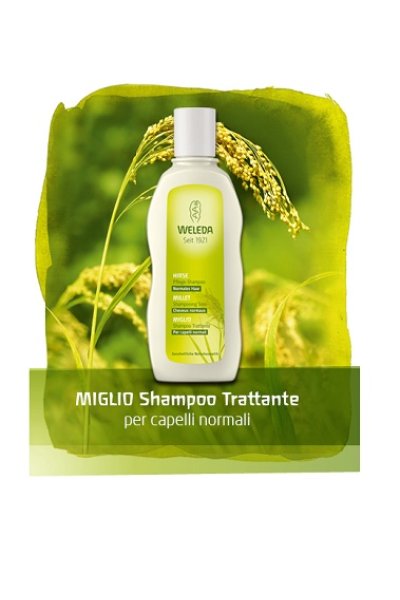 MIGLIO SHAMPOO 190ML WE MIGLIO SHAMPOO 190ML WE