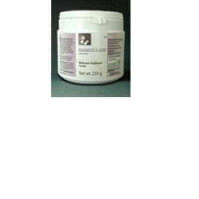 AGARICUS BLAZEI 90CPR AGARICUS BLAZEI 90CPR