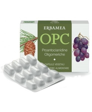 OPC 24CPS VEG S/GL 500MG ERBAMEA