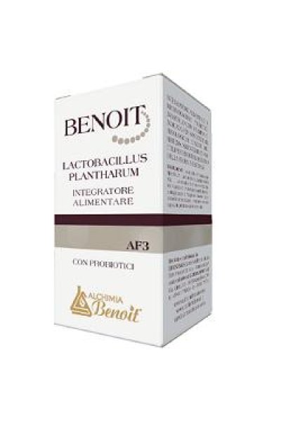 BENOIT AF3 LACTOBACILLUS PLANTHA BENOIT AF3 LACTOBACILLUS PLANTHA