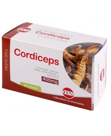 CORDICEPS ESTR SECCO 60CPS KOS