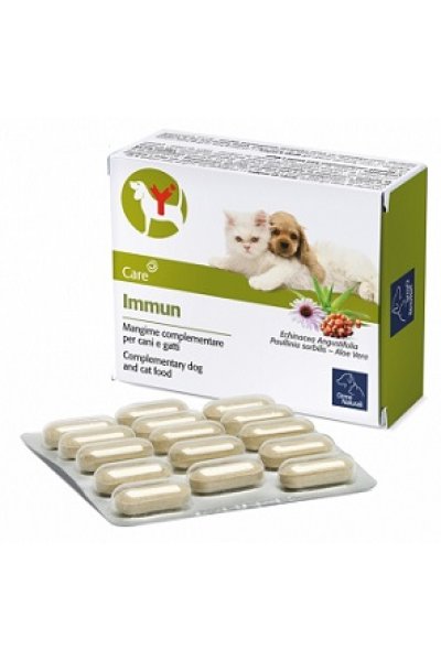 IMMUN 60CPR IMMUN 60CPR