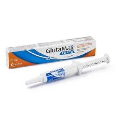 GLUTAMAX FORTE PASTA 15ML