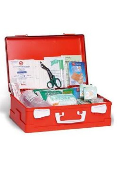 CASSETTA PS DM 388 ALL1 FARMACAR CASSETTA PS DM 388 ALL1 FARMACAR