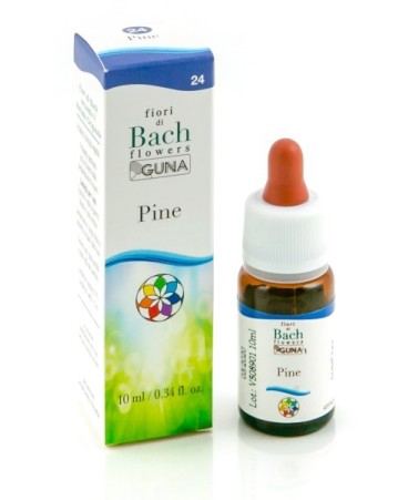 PINE 24 10ML GTT BACH GUNA