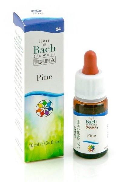 PINE 24 10ML GTT BACH GUNA PINE 24 10ML GTT BACH GUNA