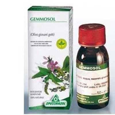 GEMMOSOL 3 IPPOCASTANO 50ML GEMMOSOL 3 IPPOCASTANO 50ML