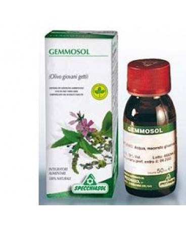 GEMMOSOL 36 RIBES NERO 50ML