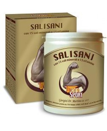 SALISANI VITAMINSPORT 360G GIORG