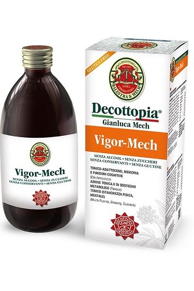 VIGOR MECH 500ML VIGOR MECH 500ML