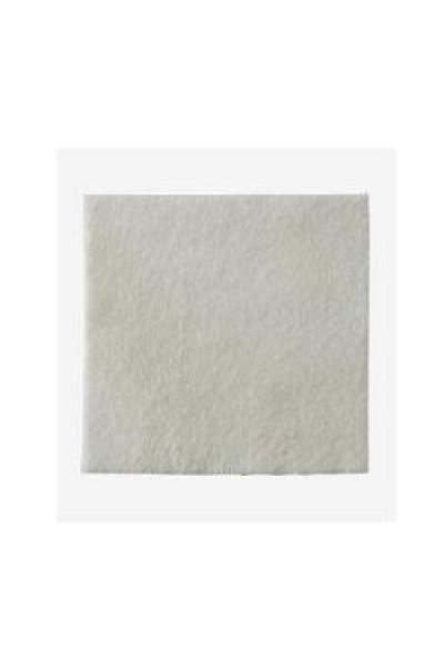 BIATAIN 3715 ALGINATE 15X15 10PZ BIATAIN 3715 ALGINATE 15X15 10PZ