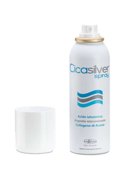 CICASILVER SPRAY CE CICASILVER SPRAY CE