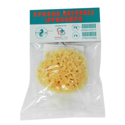 SPUGNA IPPOCAMP 6 FARVISAN