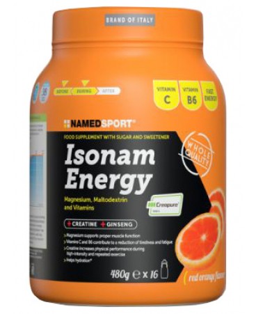 ISONAM ENERGY ORANGE POLV 480G