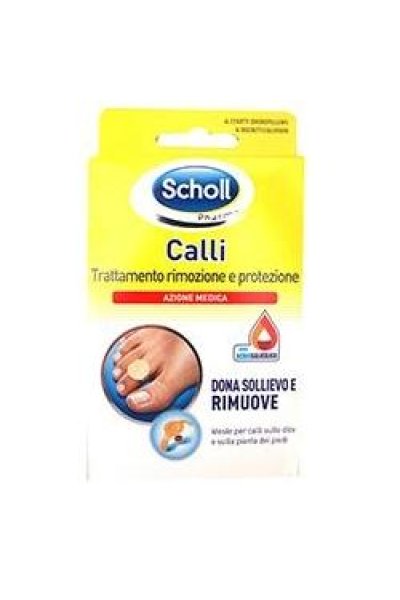 SCHOLL CER CALLIF TRATT R/PROT SCHOLL CER CALLIF TRATT R/PROT