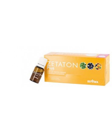 ZETATON PLUS 12FL 10ML