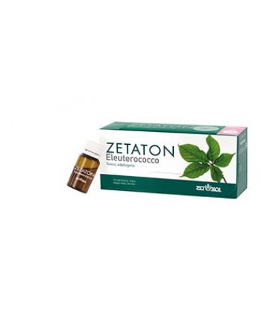 ZETATON ELEUTEROCOCCO 12FL10ML<<